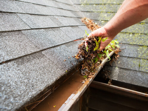 Roof maintenance in Carmel, IN