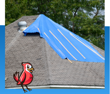 Roof Storm Damage Repair in Geist, IN