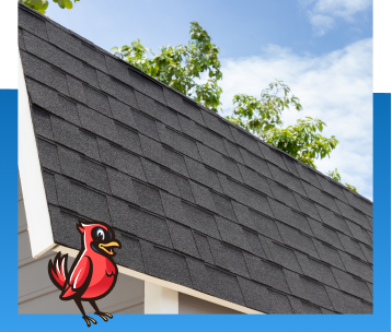 Shingle Roofing in Indianapolis, IN